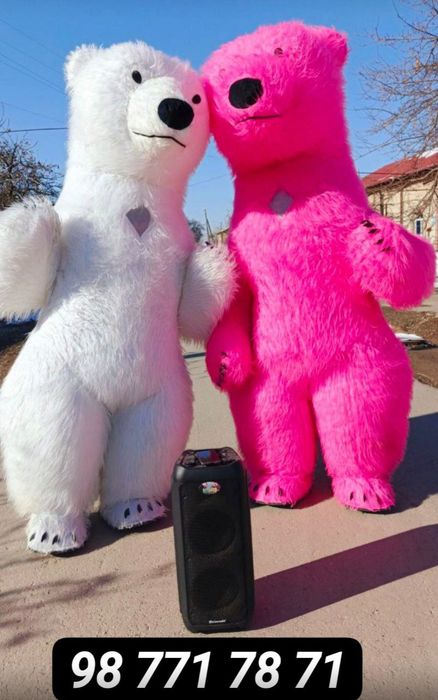 Айикчалар хизмати