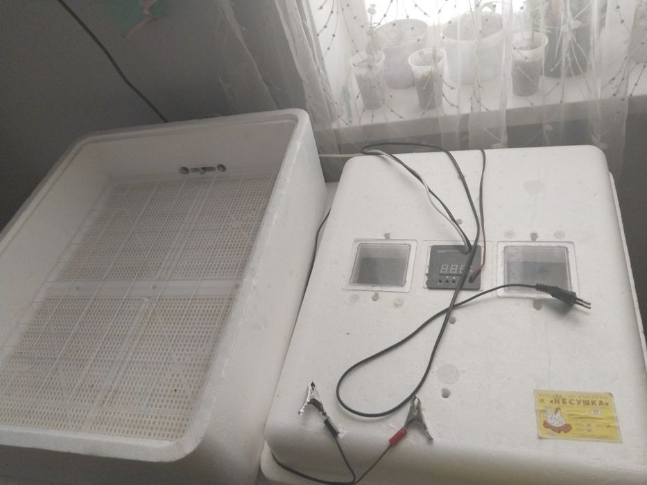 Инкубатор 77 яиц