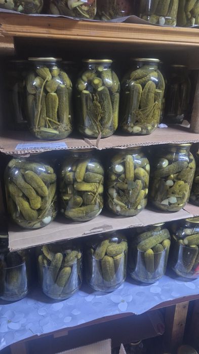 Соление домашние