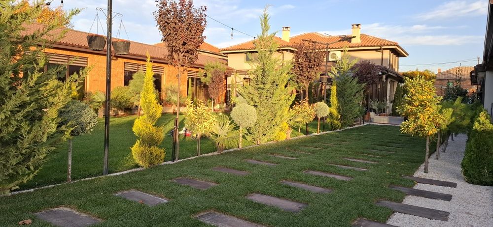 Тревен чим, Озеленяване