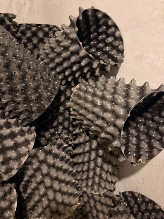 Саксии с Дупки-ТОП