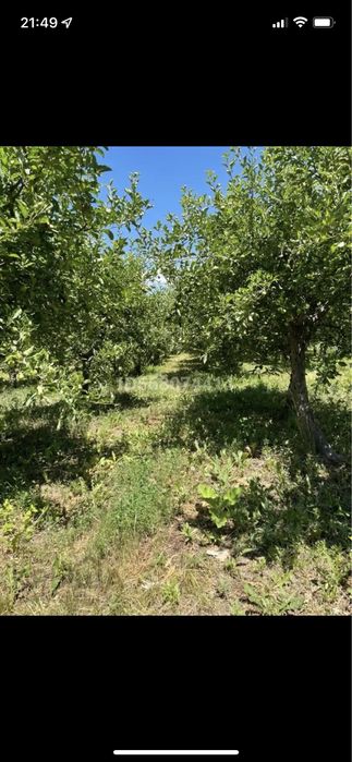 Продам дом срочно!