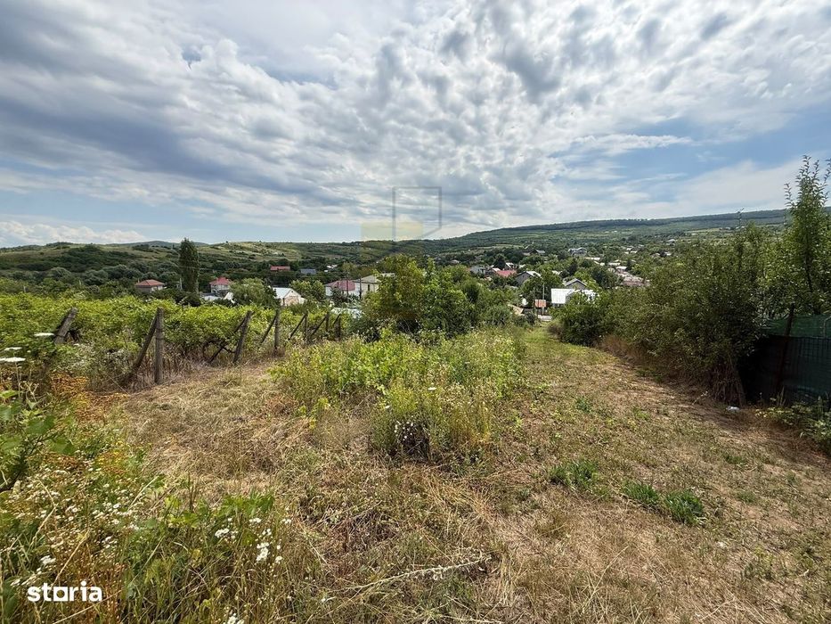 Teren in Goruni comuna Tomesti 12 km de rond Podu Ros
