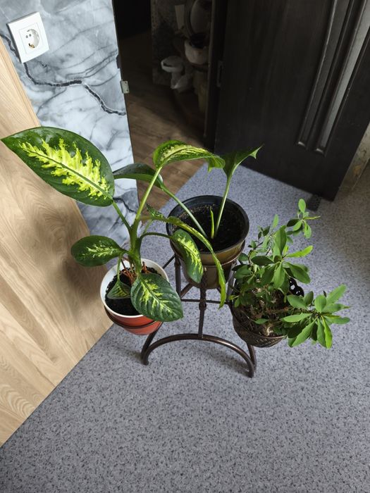 Подставка для цветов, стильная