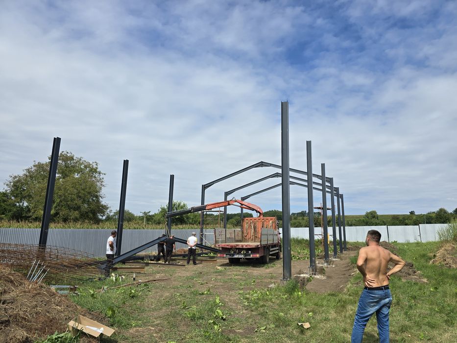 Hala metalica și structura