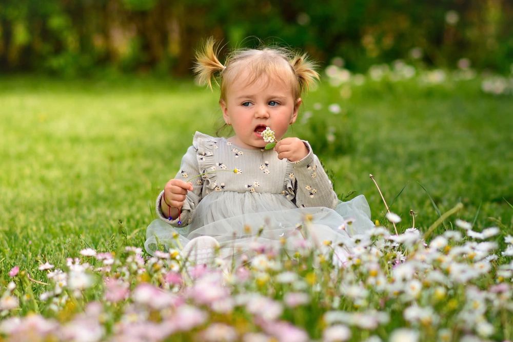 Фотографски услуги