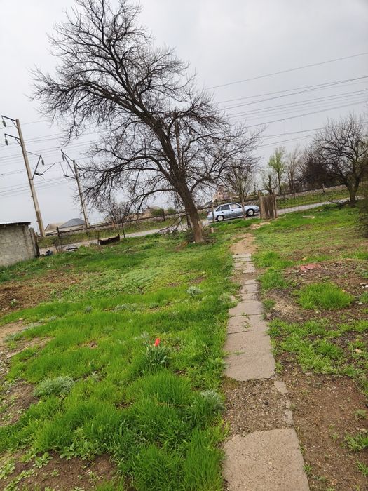 Продам срочно Кумшагал