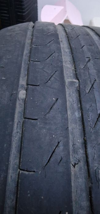 Шины Pirelli R19 225/55