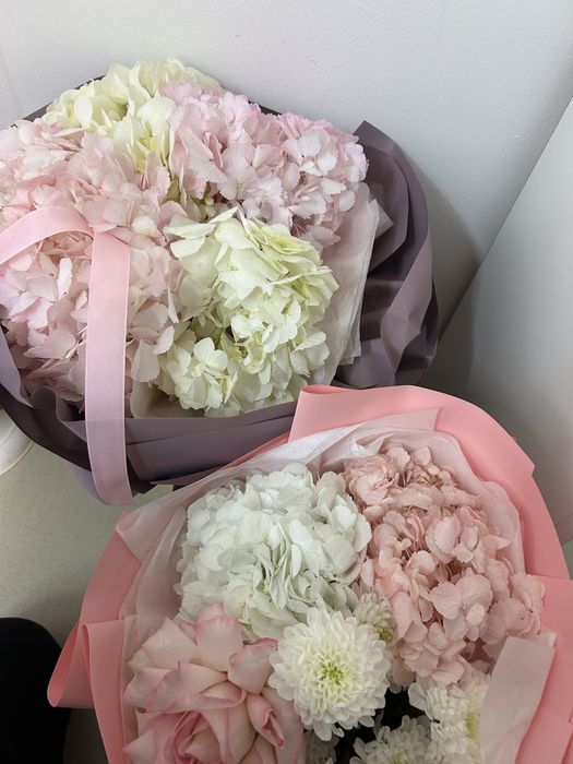 гортензия цветыы