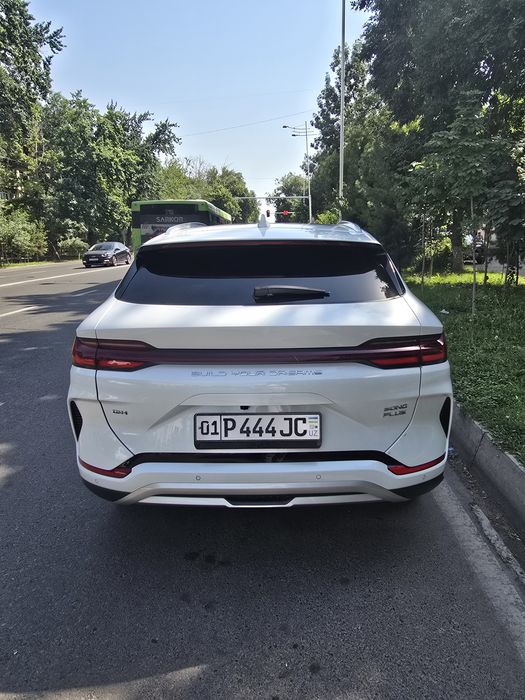 BYD CHEMPION full 150 tali
