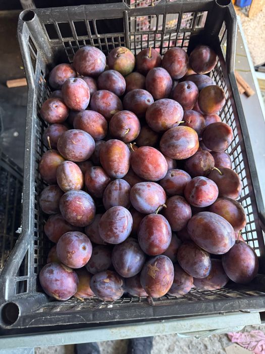 Prune pentru consum
