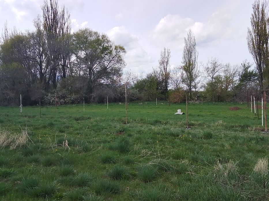 Продам участок в Каскелене
