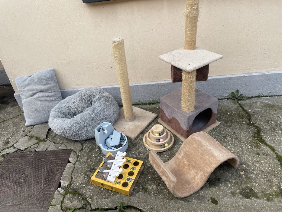 Produse pentru pisici