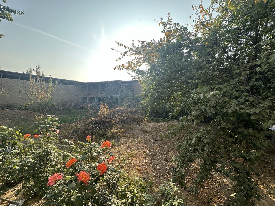 Uchaska 4 sotik sotiladi