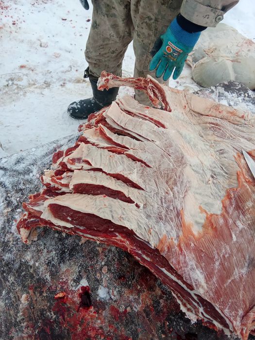 Мясо КРС молодняк