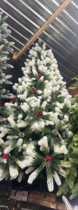 Archalar 50smdan 5metrgacha! Ёлки от 50см до 5метр! Елки