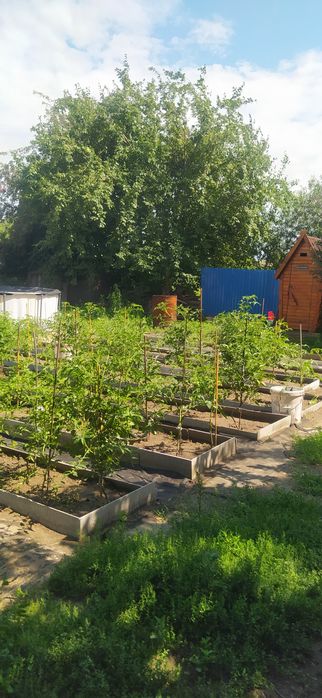 Продам летнюю дачу на бобровке
