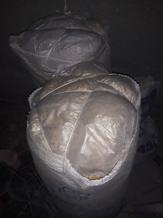 Сомон. Сомон. Сомон