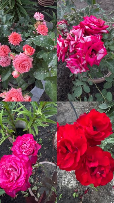 Продам Место дЛя отдыха ДАЧУ