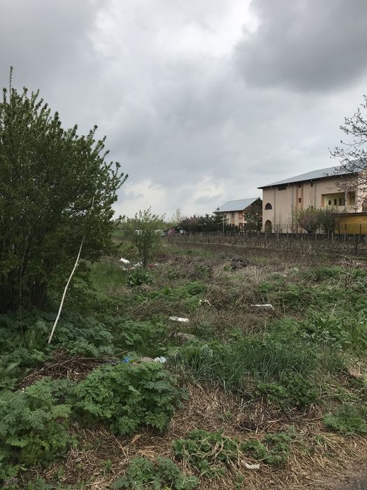 Teren la 15 km de Bucuresti (dupa Ciorogarla) la Tantava,superb