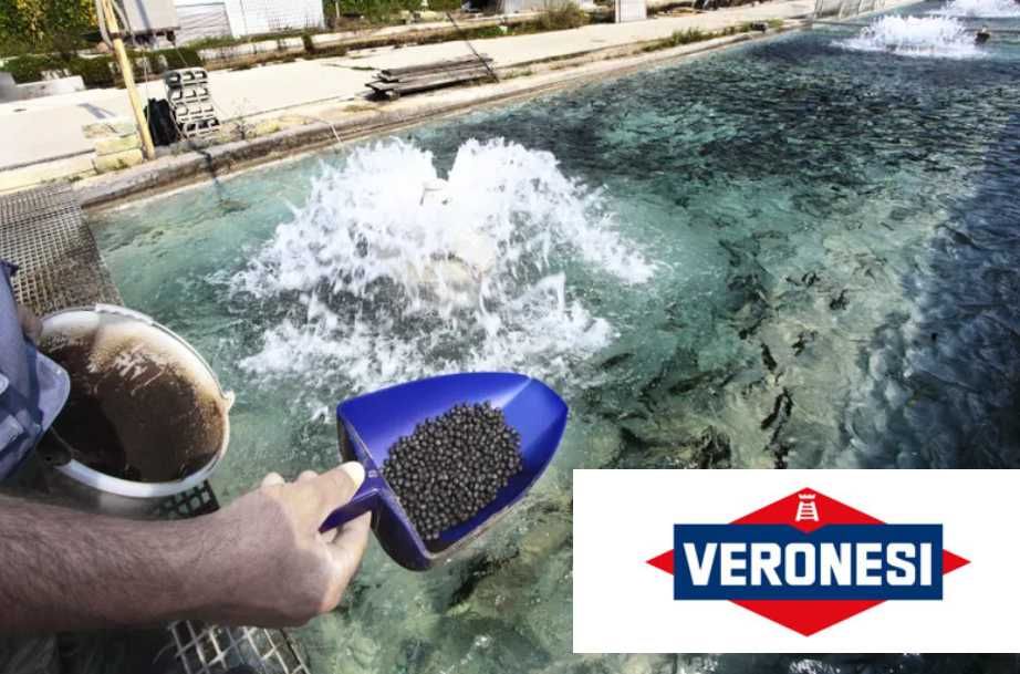 Furaj pentru pastrav