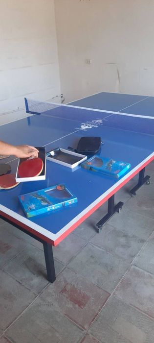 Теннисный стол , тенис стол трансформер