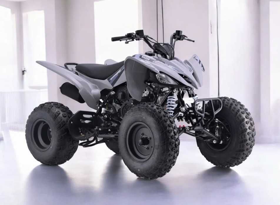 Квадроцикл Sharmax Raizer Race Cup 250