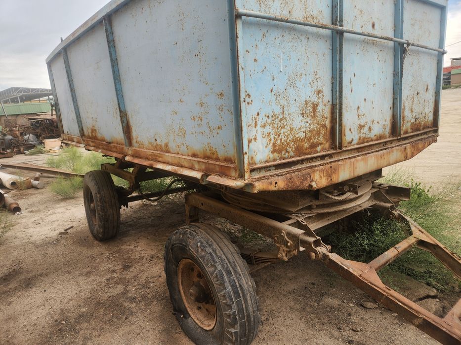 Трахтир телашкаси