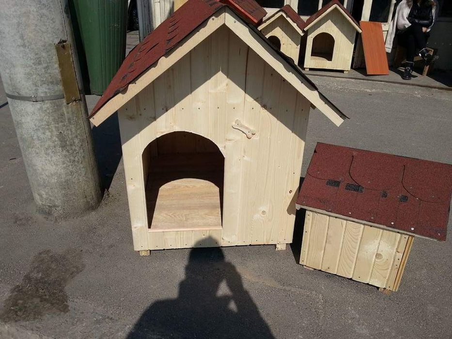 Coteț caine chitila