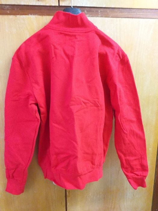 Мъжки фанели