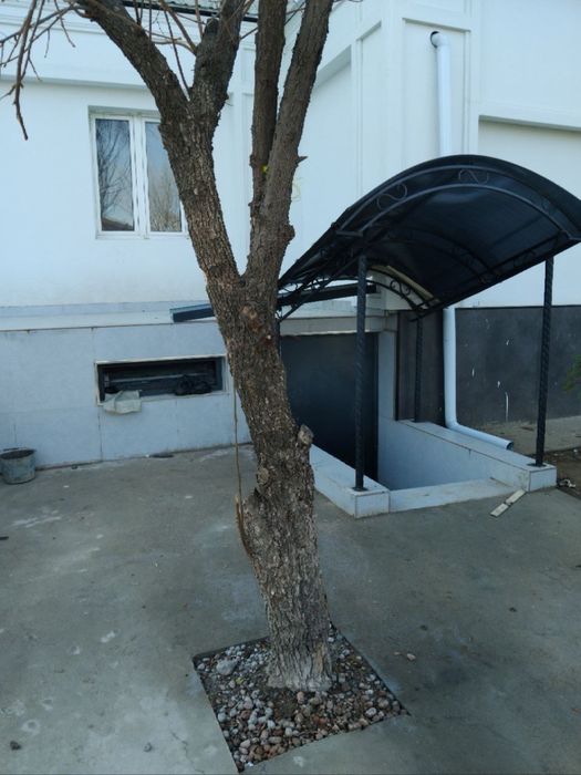 Арендага жой Юнус обод 4 квартил Хумо Авто салон ёнида