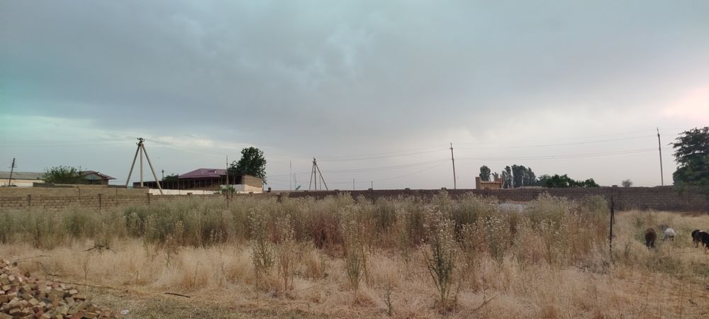 Чиноз тумани Сутчилар МФЙ Табассум кучасида 1-фермада