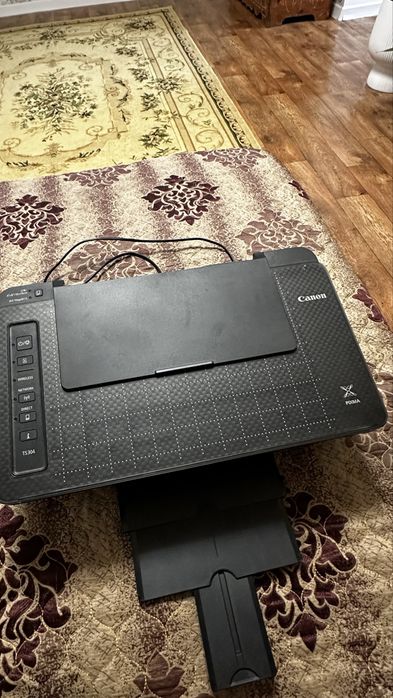Принтер Canon Pixma ts 304