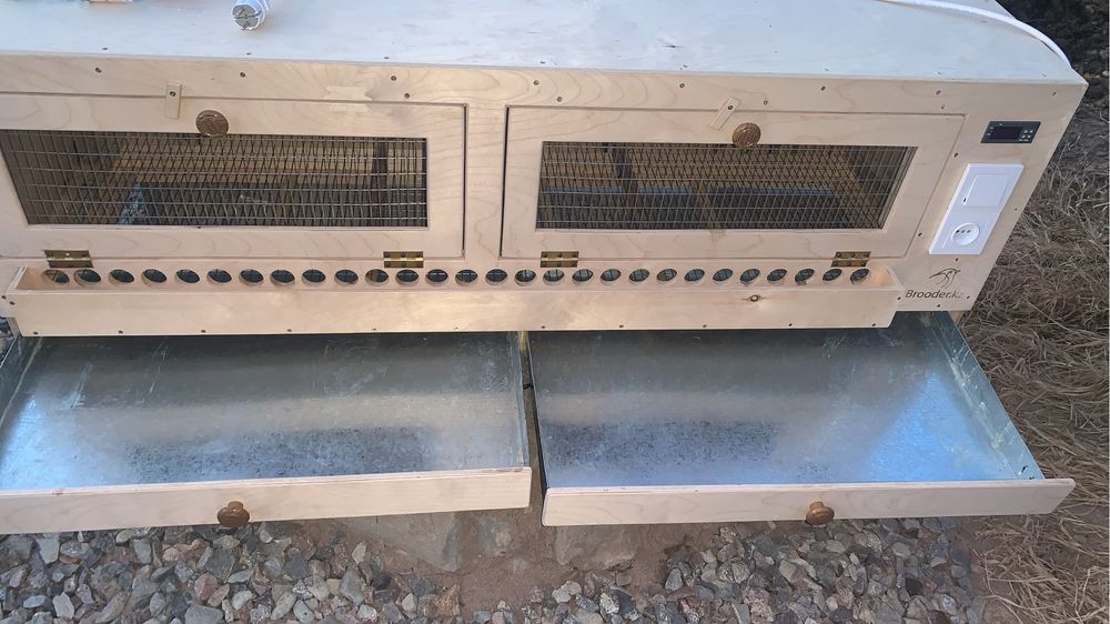 Брудер для цыплят