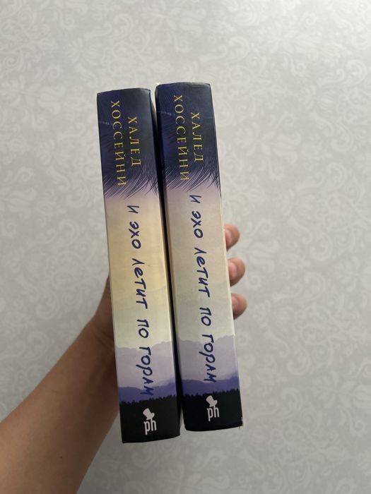 Книга Халеда Хоссейни  (И эхо летит по горам)