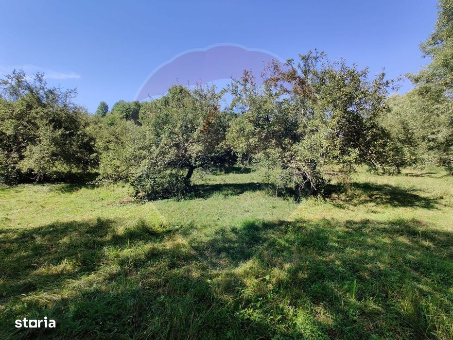 Teren intravilan in Remetea Chioarului