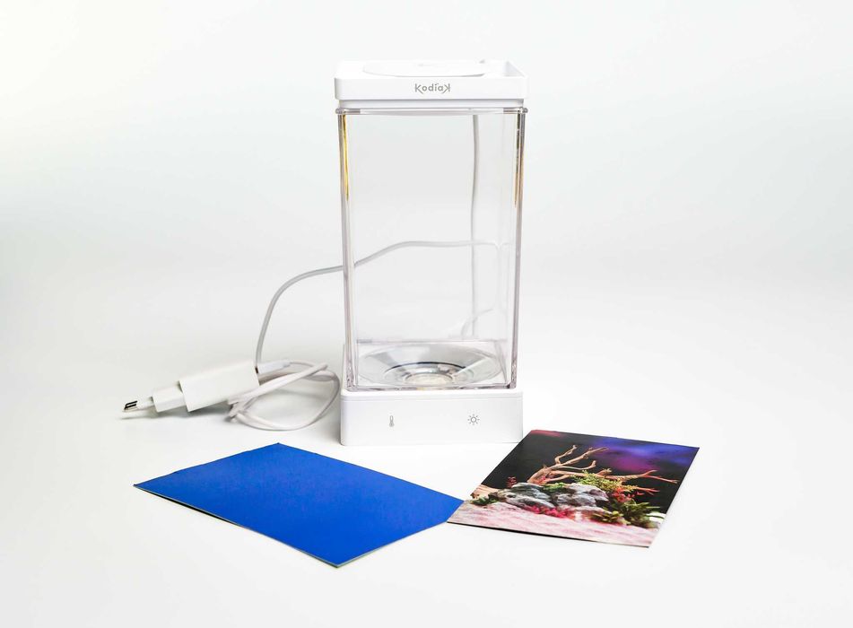 Mini Acvariu de birou Kodiak  special pentru pesti Beta