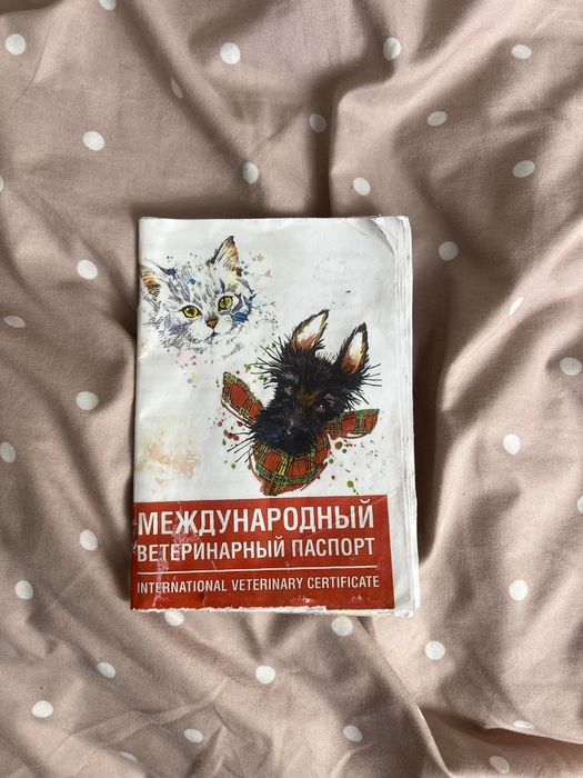 Кавказская овчарка