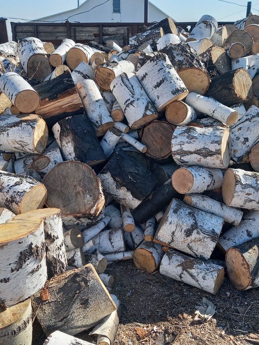 Продам берёзовые дрова!