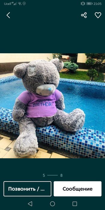 Teddy teddi ayiq
