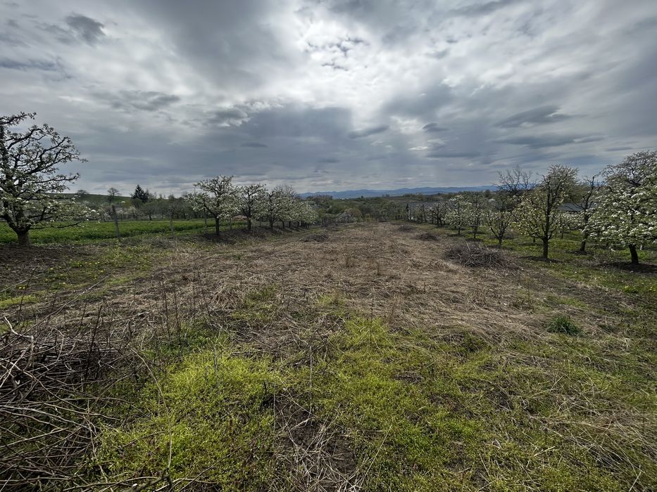 Teren intravilan 3600 mp – Str. Lovinescu, Rădășeni, toate utilitățile