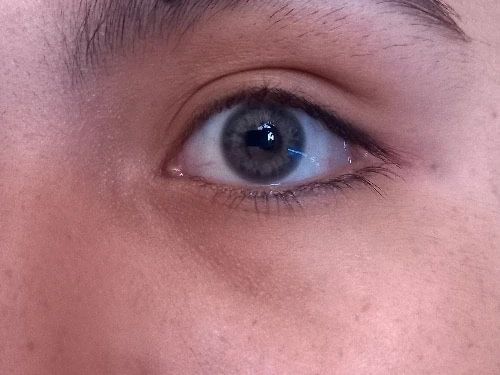 Хит цена Цветни лещи Едногодишни