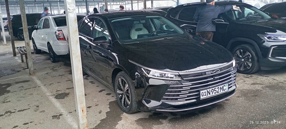 BYD chazor 3- poz 120km