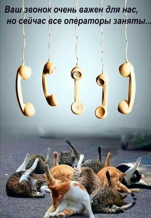 AmoCRM, Wazzup, IP телефония