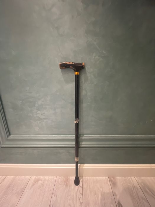 Трость ручная (tayoq hassa)