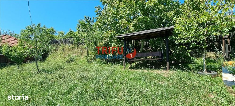 Cabana de vanzare zona Sard cu teren intravilan de 1950 mp