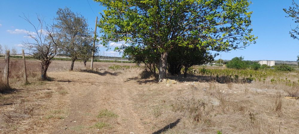 Продава се Парцел в с. Казашка река, Област Варна - 800 кв.м за 7 €/кв.м - Снимка #3