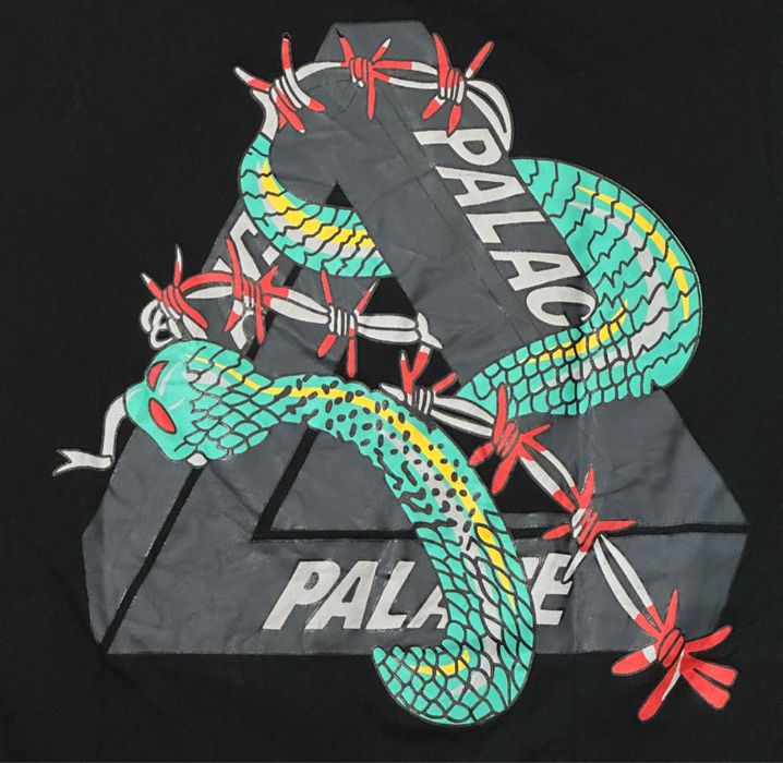 Palace x Arcteryx Тениска