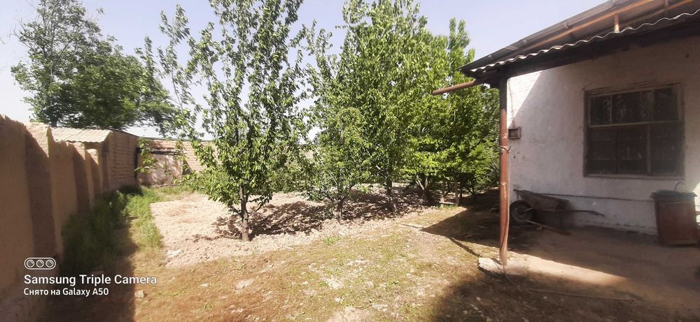 Участок 10 соток