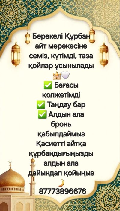 ҚҰРБАН АЙТҚА АРНАЛҒАН семіз малдар сатылады